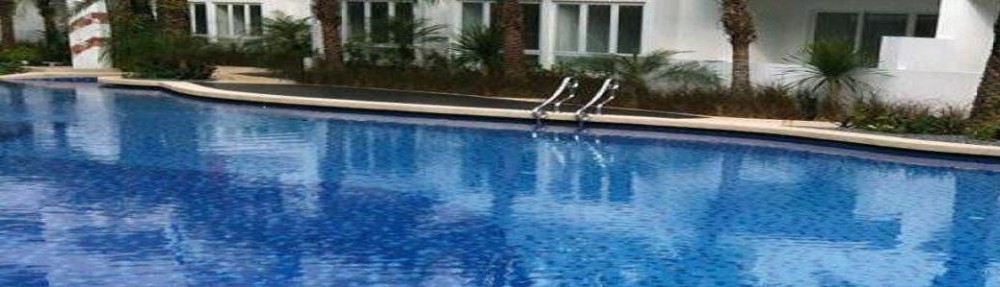 Pool Maintenance